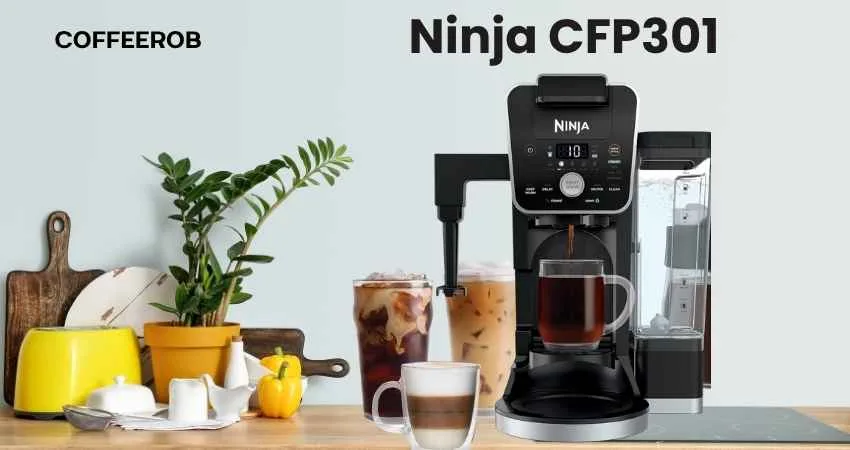 ninja cfp301 review